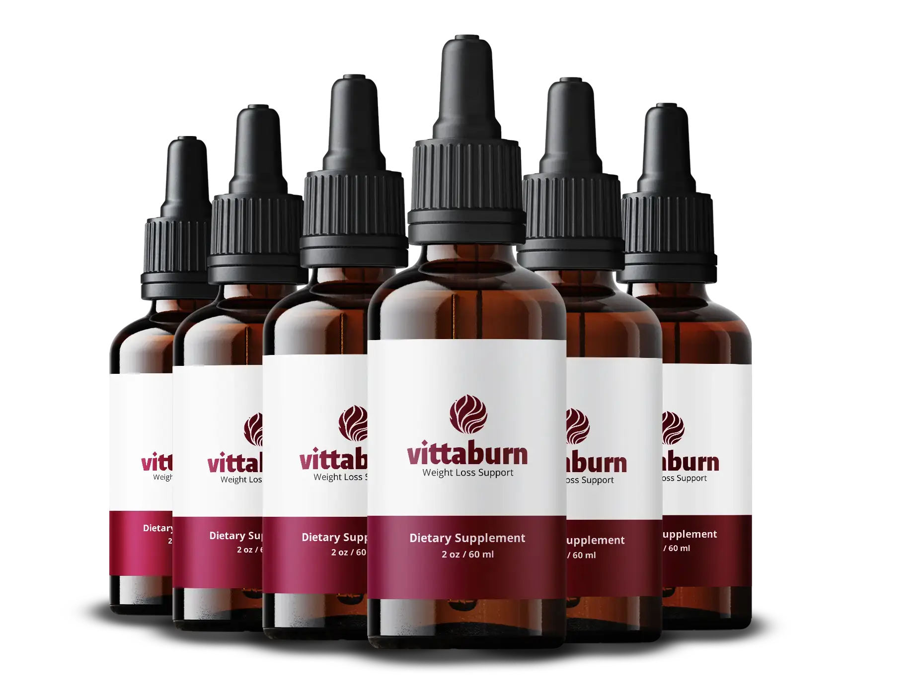 VittaBurn 6 Bottles package