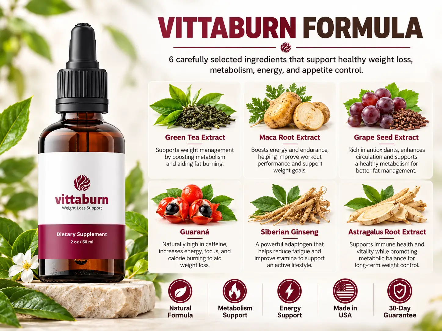 VittaBurn formula overview