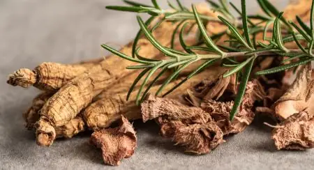 Siberian Ginseng ingredient in VittaBurn