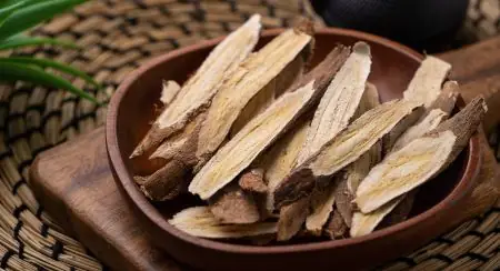 Astragalus Root Extract ingredient in VittaBurn